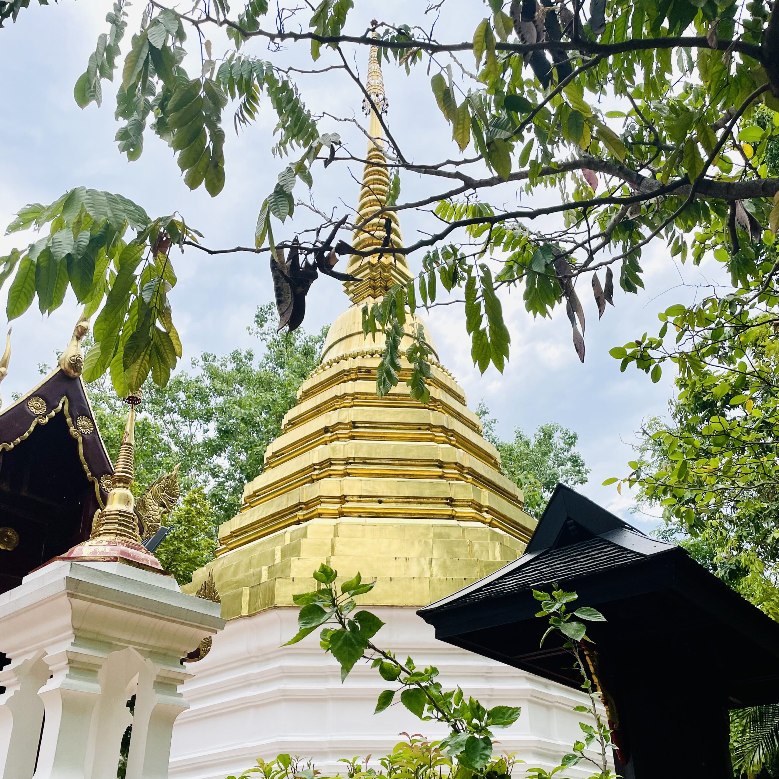 Vue sur le Chedi du Wat Phra Kaeo à Chiang Rai en Thaïlande